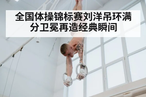 全国体操锦标赛刘洋吊环满分卫冕再造经典瞬间